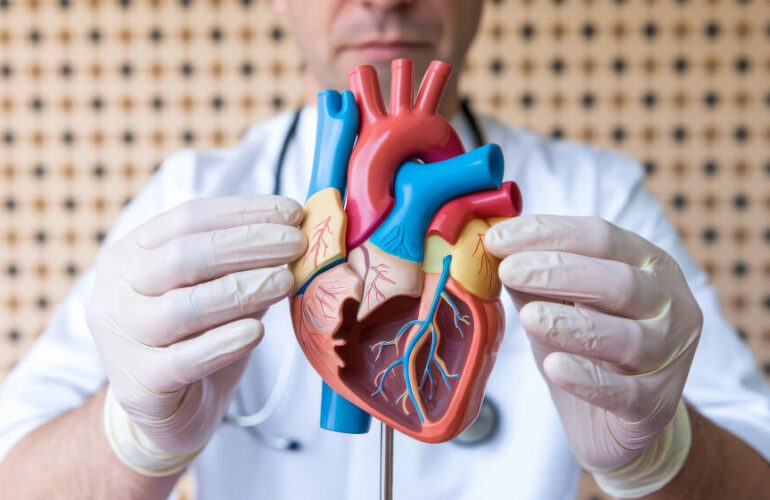 Heart valve repair vs valve replacement surgery illustration at Kolekar Hospital Chembur